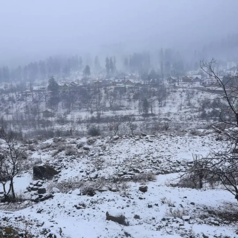 Tangmarg