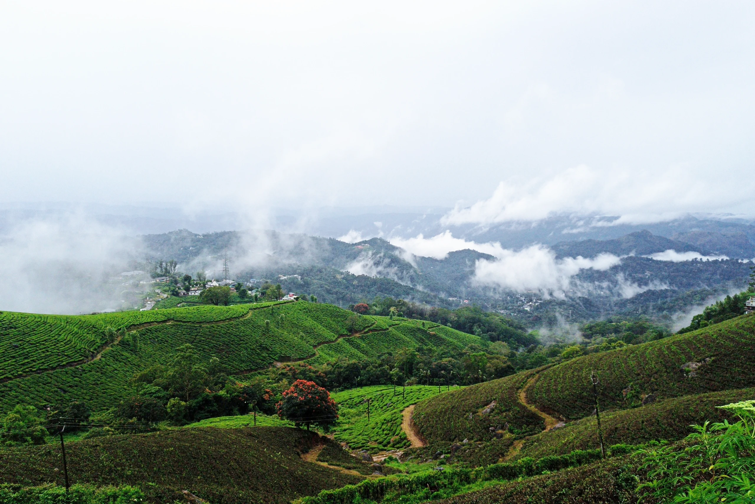 Munnar (2)