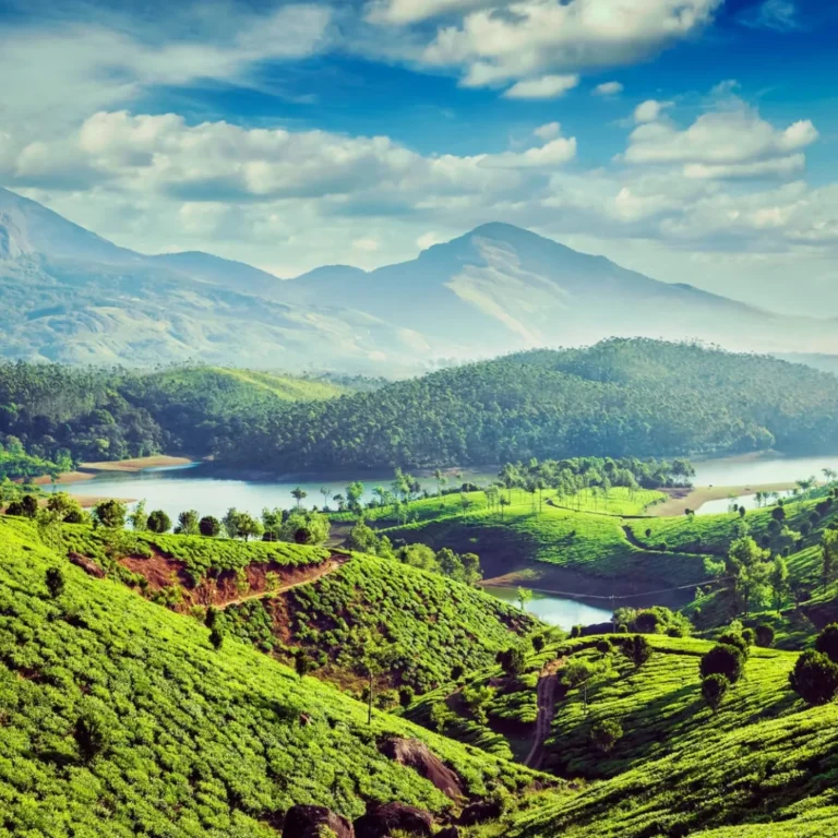 munnar mountain view