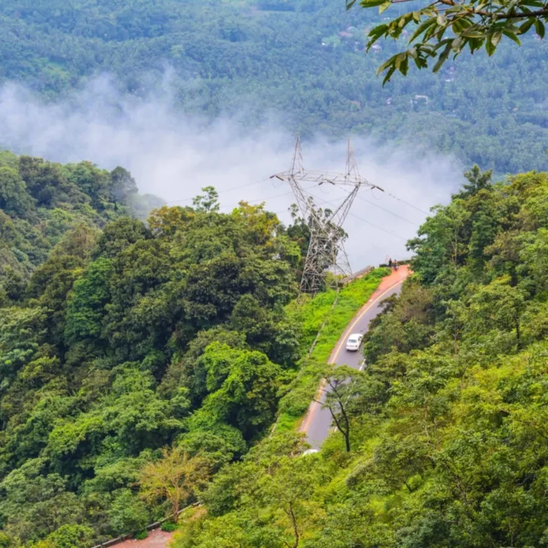 wayanad road